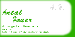 antal hauer business card